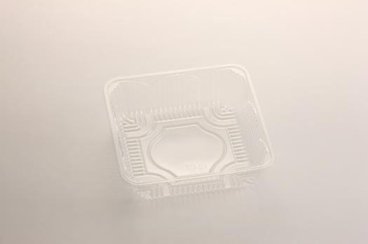 159���ե롼�ĥȥ졼�ʥե롼�ġ�A-81��