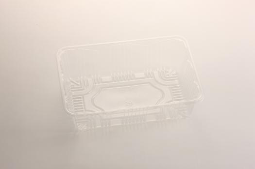 161���ե롼�ĥȥ졼�ʥե롼�ġ�A-100��