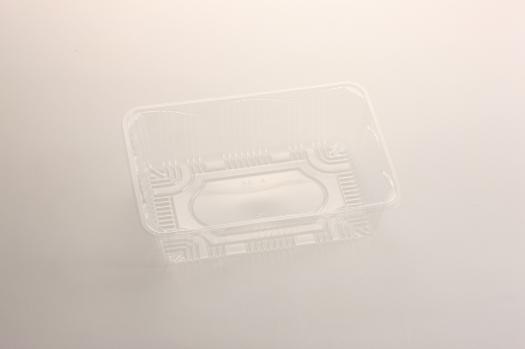 162���ե롼�ĥȥ졼�ʥե롼�ġ�A-36��