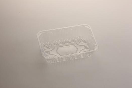 165���ե롼�ĥȥ졼�ʥե롼�ġ�A-21��