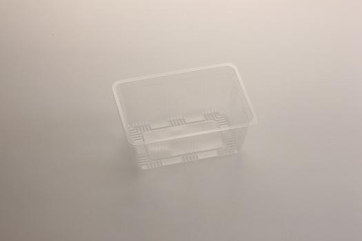 167���ե롼�ĥȥ졼�ʥե롼�ġ�Y-500A.��